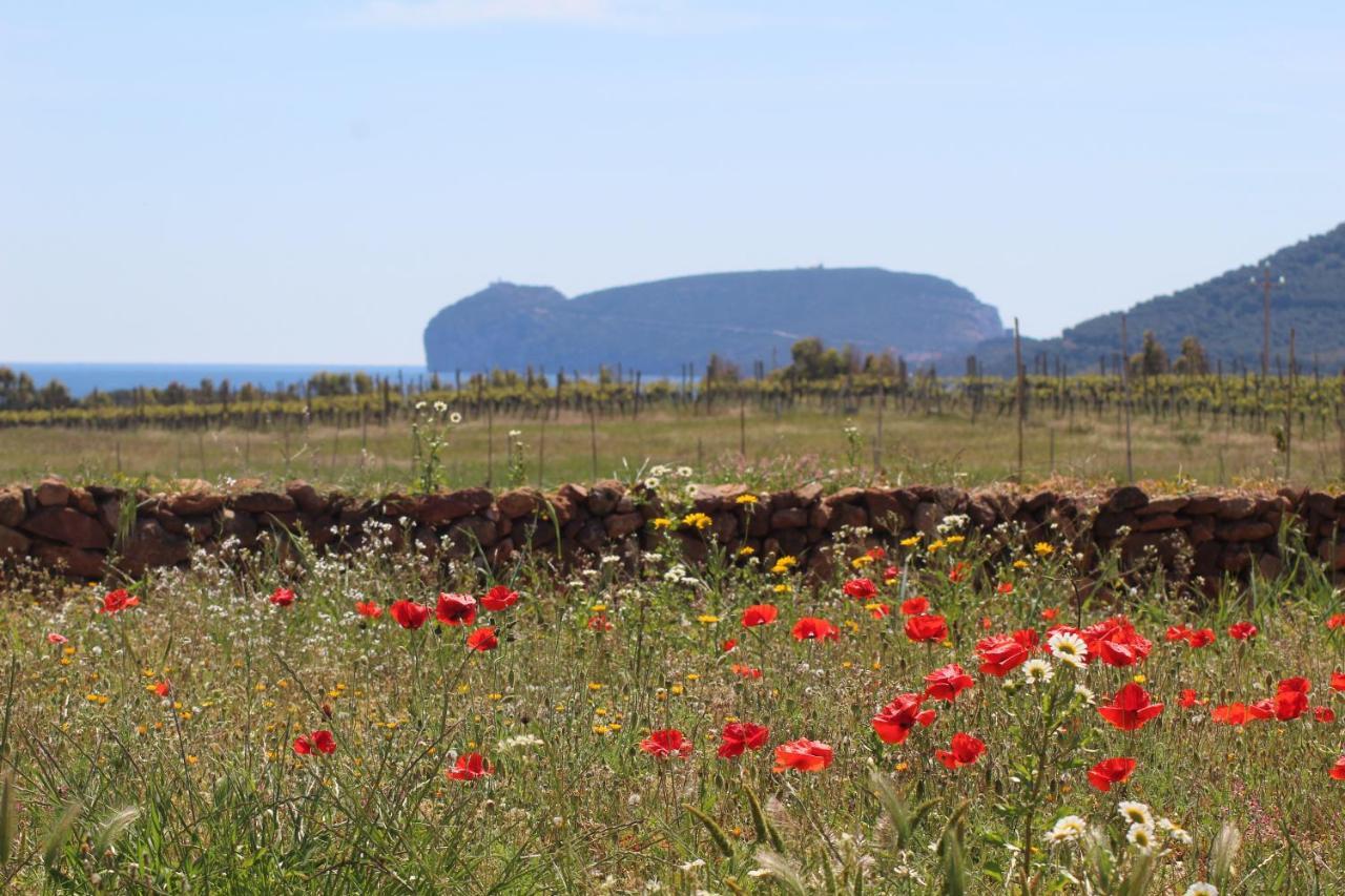 Agriturismo Graziano E Barbara 포르토 콘테 외부 사진