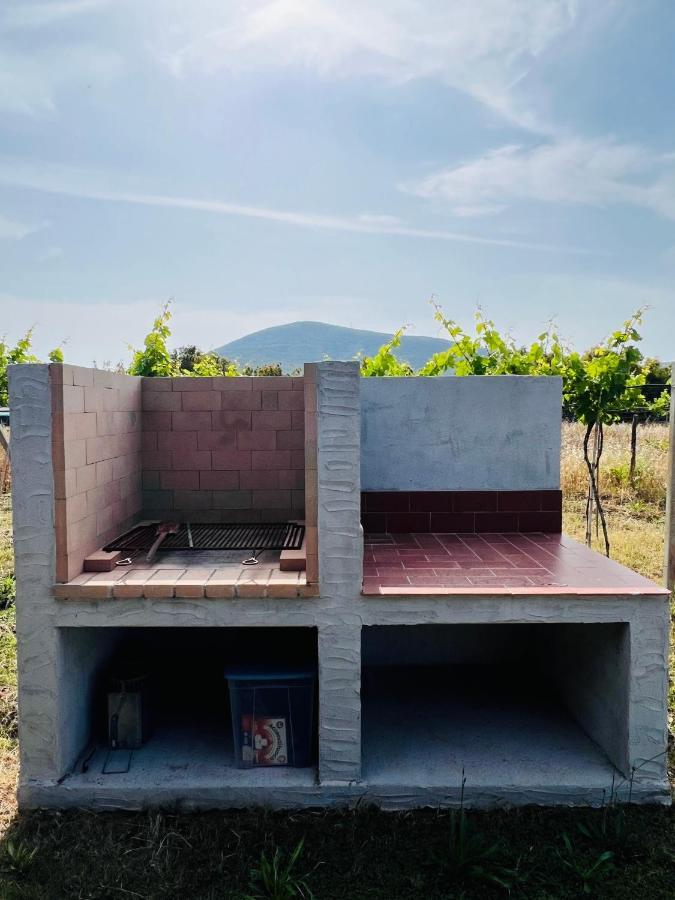 Agriturismo Graziano E Barbara 포르토 콘테 외부 사진