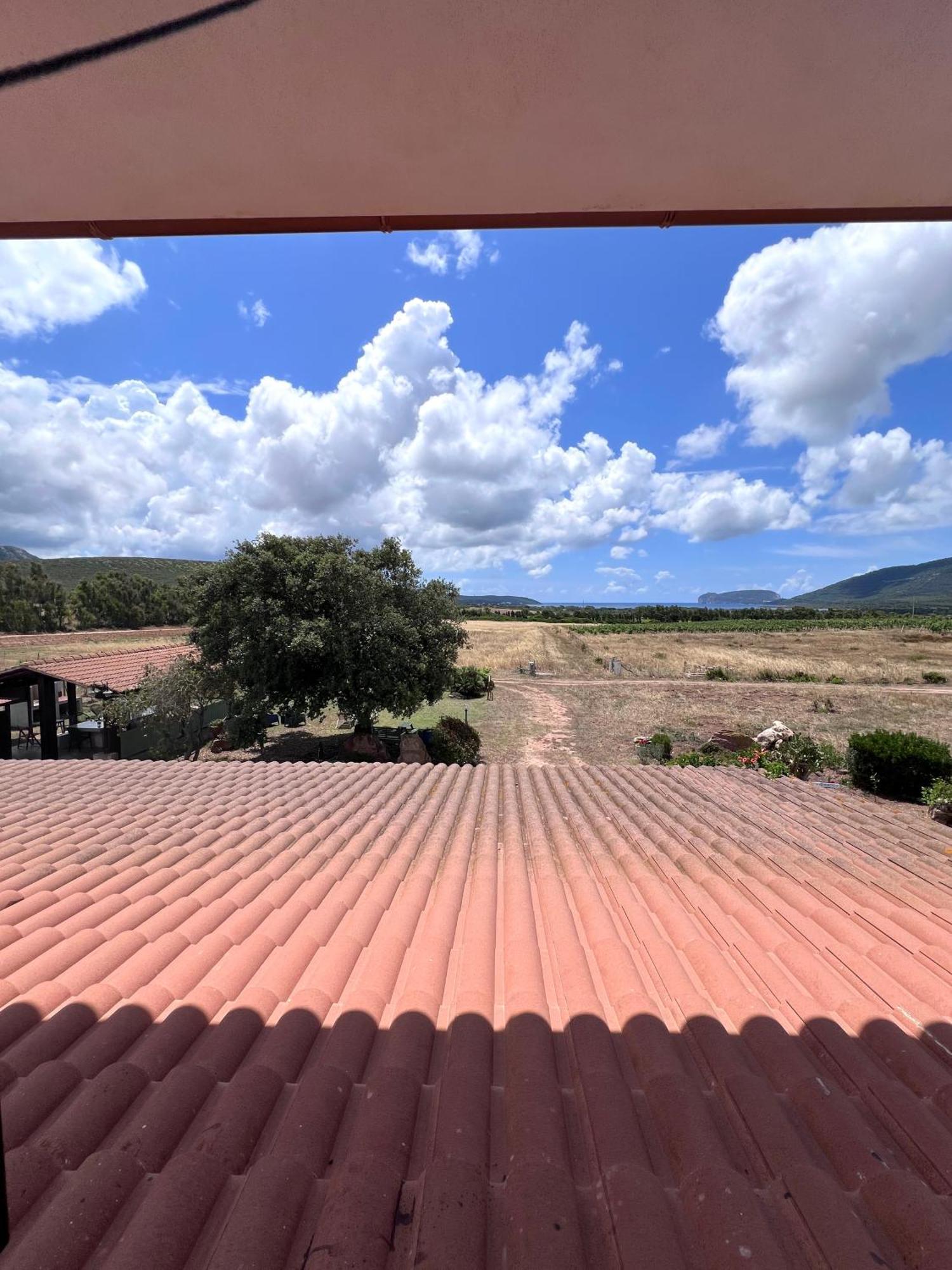Agriturismo Graziano E Barbara 포르토 콘테 외부 사진