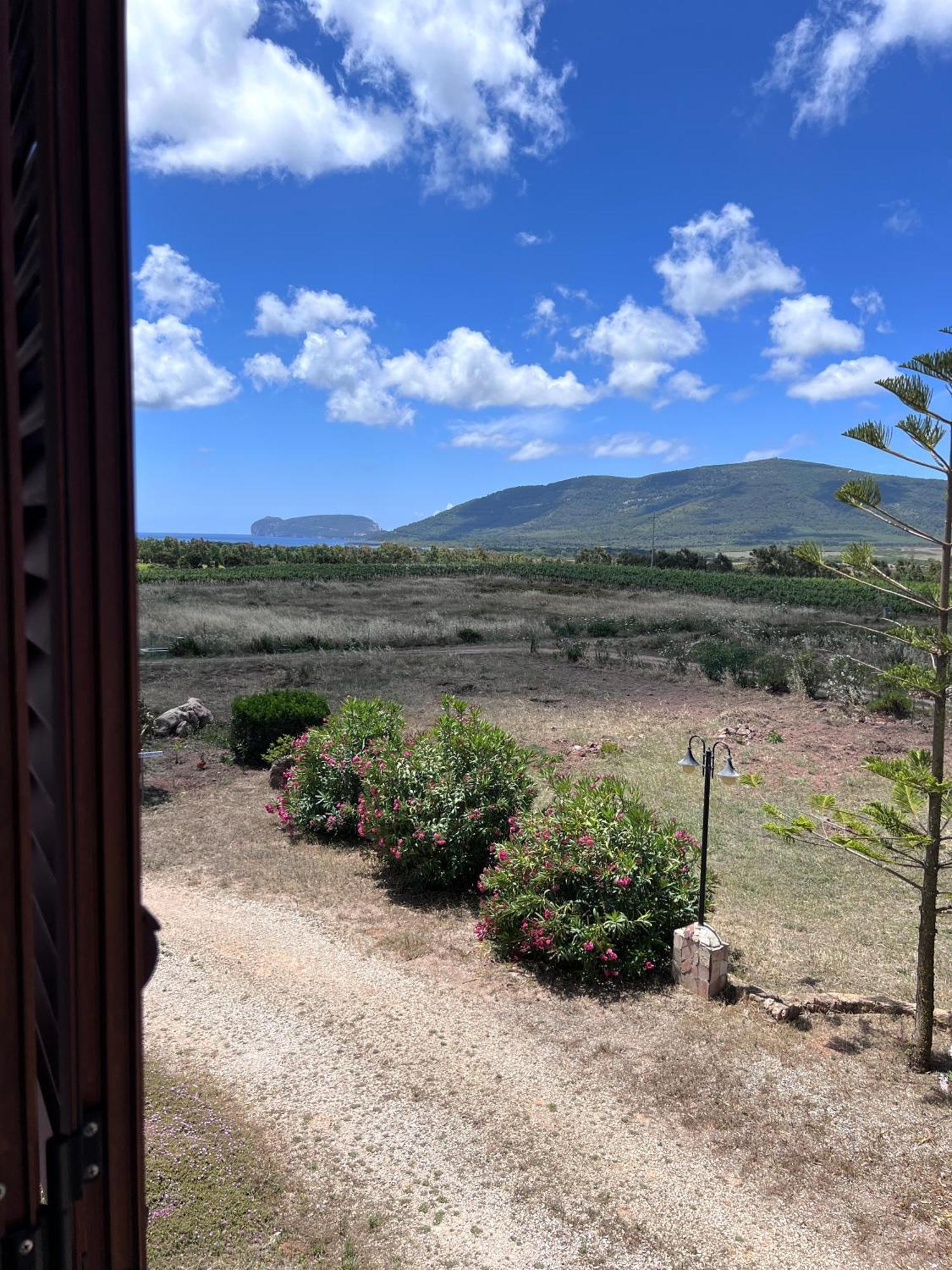 Agriturismo Graziano E Barbara 포르토 콘테 외부 사진